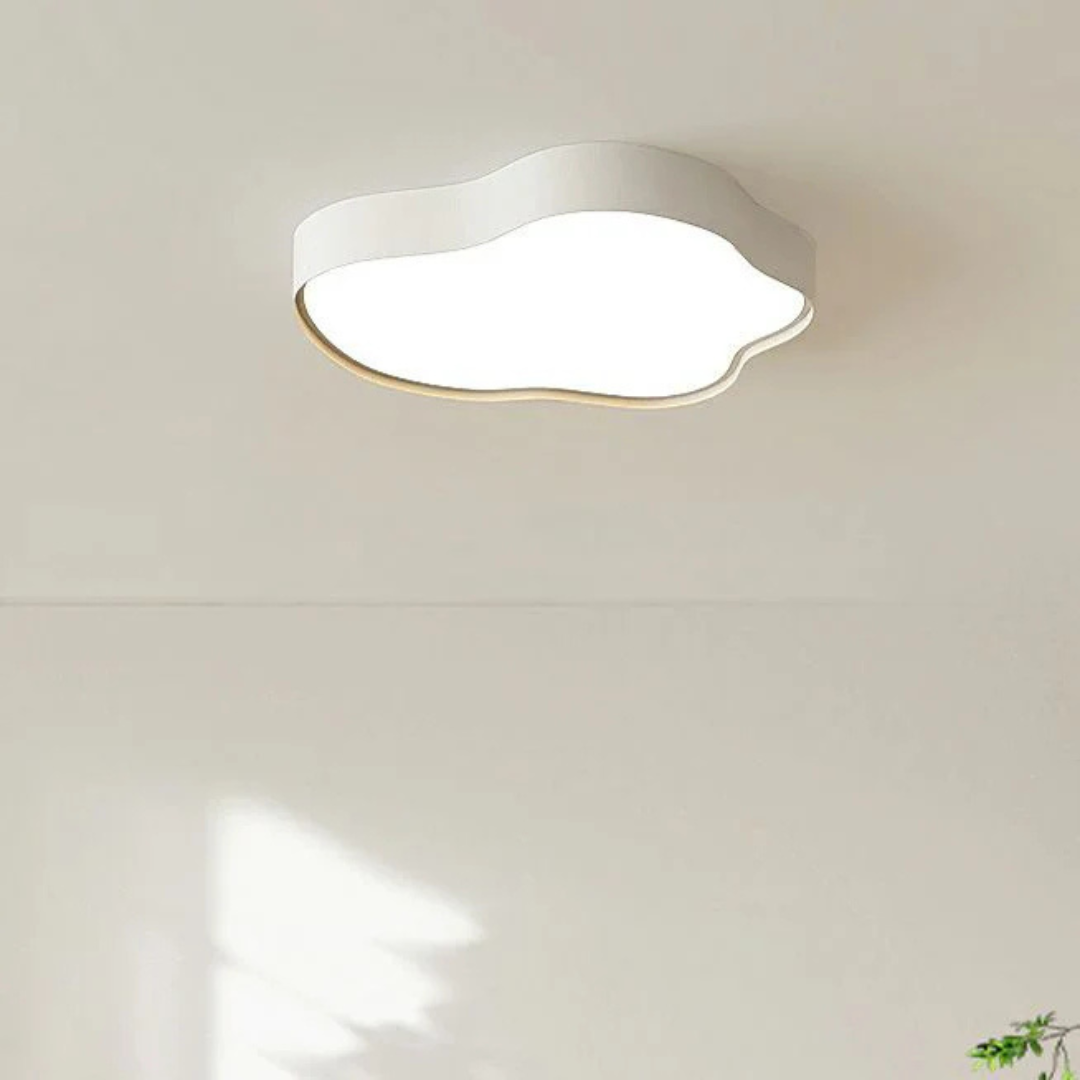 NovaLume Modern LED Ceiling Light for Living Rooms and Hallways