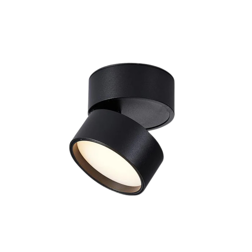 AstraLume Adjustable LED Ceiling Light With Rotating Head
