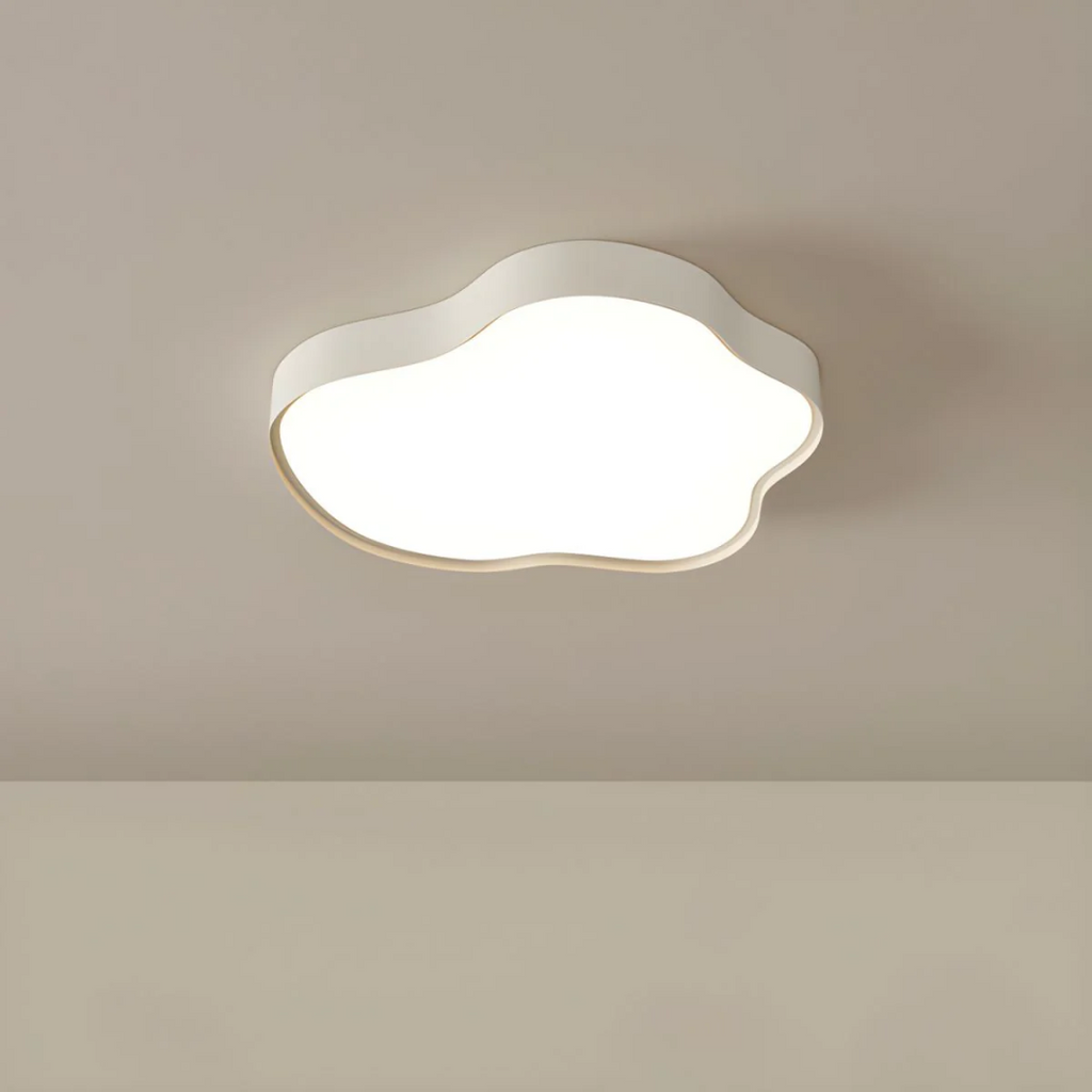NovaLume Modern LED Ceiling Light for Living Rooms and Hallways