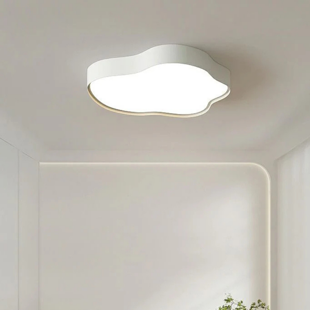 NovaLume Modern LED Ceiling Light for Living Rooms and Hallways