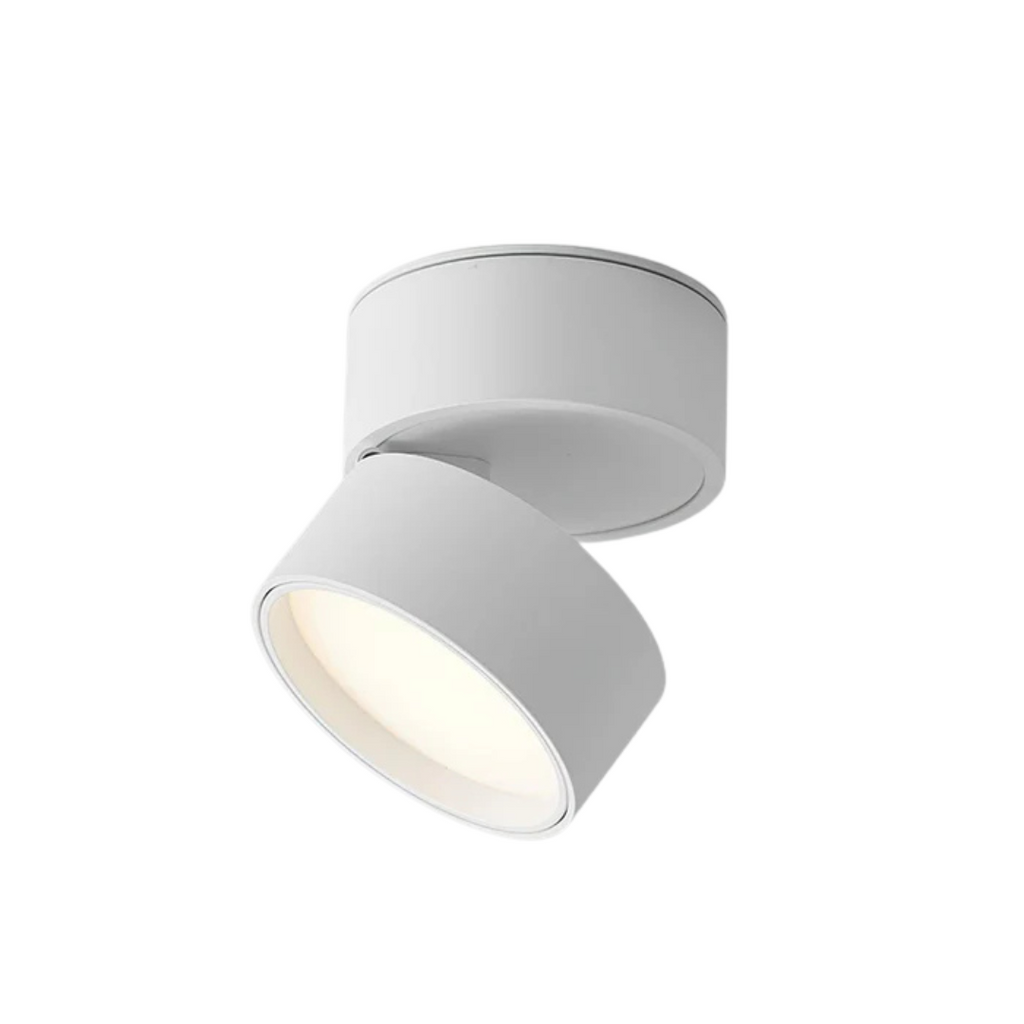 AstraLume Adjustable LED Ceiling Light With Rotating Head