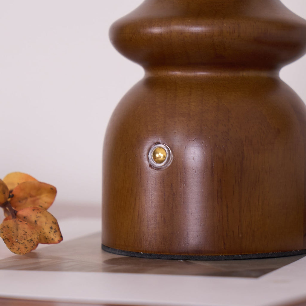 Asterra Modern Minimalist Table Lamp for Ambient Lighting